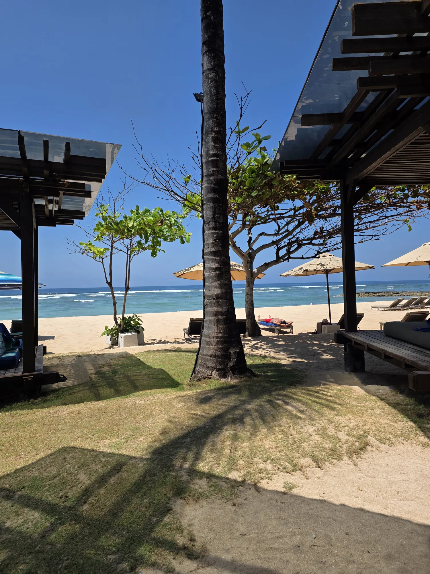 Palm trees and shaded loungers overlooking the beach at The Ritz-Carlton